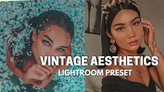 Vintage Aesthetics Preset 