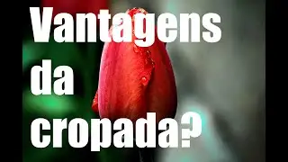 Nem sempre Full Frame é melhor...