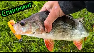 Крупный окунь на джиг и вертушку 2020►Судак, щука и окунь◄На спиннинг!