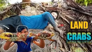 Maghukay ng (ISANG METRO) mahigit mula sa lupa bago makuha ang ALIMANGONG ito