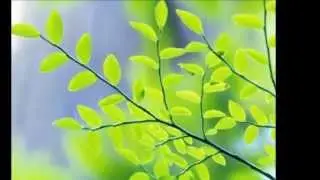 Лиля Муромцева. Ландыши