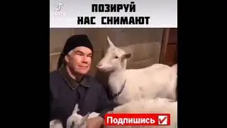 Позируй, нас снимают🤣🤣#мемасики#мемы#мем#прикол#орунемогу#цешо#юмор#шутки#смех#видос#тикток#жиза#mem