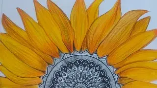 beautiful creation #mandala art #art #drawing #manadalaart #diy #martialarts #artworld