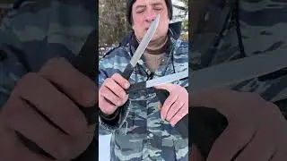 Карачаевская Спарка s390