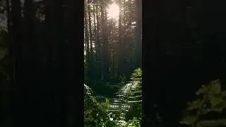 #short