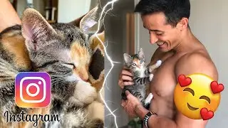 Pichu inshape le chat de tibo avec Tibo inshape 🥰
