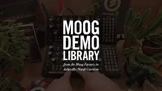 Mother-32 | Tempo Sync Multiple Mother-32’s