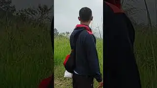 di semak-semak
