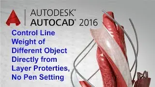 How to Control Line Weight from Layer Properties Directly Without Pen Setting