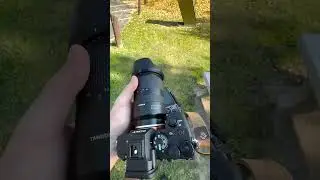 $1000 point & shoot camera vs $4100 mirrorless camera #shorts