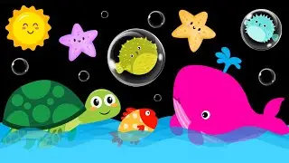 Baby Sensory Video - High Contrast - Sensory Videos for Babies - Visual Stimulation for Newborn