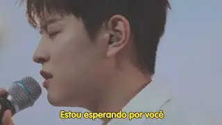 seungmin (stray kids) - steal the show (tradução/legendado) lauv cover