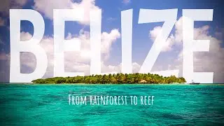 Belize—8 Days of Exploring, from Rainforest to Reef