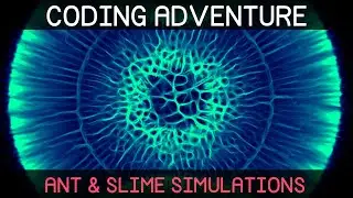 Coding Adventure: Ant and Slime Simulations