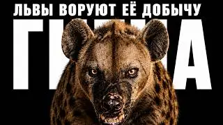 HYENA: A CLAN WHERE ALL POWER BELONGS ONLY TO FEMALES