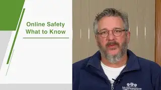 Bridges Topics in Demand - Online Safety