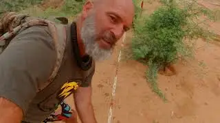 Ogromna plaža na obali Afrike