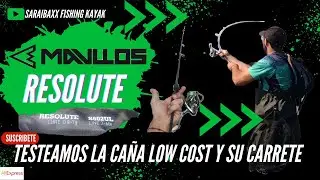 LA PONEMOS AL LIMITE CAÑA LOW COST MAVLLOS RESOLUTE Y CARRETE TWINLER 2500 #kayak #spinning #pesca