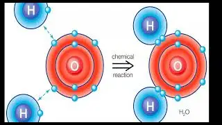 HESI A2 Exam: Water