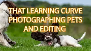 Pet photography tips and editing