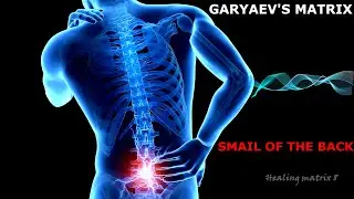 Garyaev's matrix / for complete recovery of the lower back /sound / lower back problem / lower back