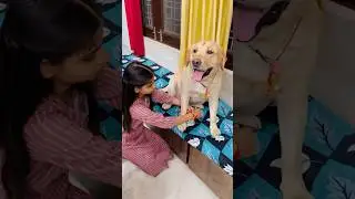 Manu mein teri humesha raksha karunga 🐶❤️ | SourShy