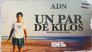 Homer el Mero Mero - Un par de kilos (Visualizer)