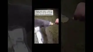 хммм 4