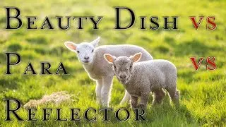 Lambs! Selens Octa vs Beauty Dish vs Sunbounce Reflector Comparison