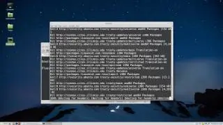 How to install simple screen recorder for Linux Mint / Ubuntu