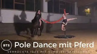Pferde fotografieren mit Blitzlicht Teil 2 Pole Dance mit Pferd