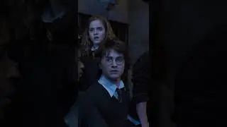 Harry is chosen by the Goblet of Fire 
