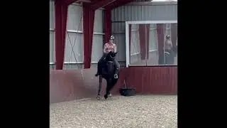 Naked horse ride!!! girl riding naked horse 
