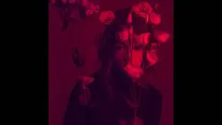 Yali Blank - Why Do Flowers Mean Love? (Official Audio)