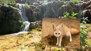 CLIP 🎬 River Gorge