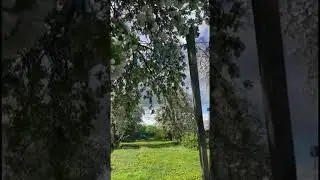 Красота вокруг нас 🥰 #природа #красота #эстетика