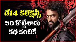దేవర డే14 కలెక్షన్స్.. 50 కొట్టేసిన తారక్.. కథ కంచికే | Jr NTR | Devara | Janhvi || BulBul Talks