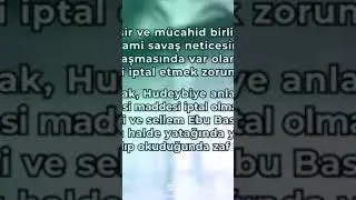 Ebu Basir radıyallahu anhu'nun aynı anda iki müjdeyi alması..
