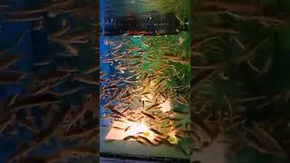 Под водой