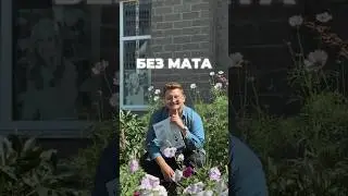 КУРС «КАК РАЗГОВАРИВАТЬ С РИЭЛТОРАМИ» БЕЗ МАТА