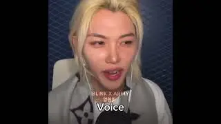 Visual vs Voice #straykids #felix #bangchan #hyunjin #leeknow #seungmin #bts #blackpink #shorts