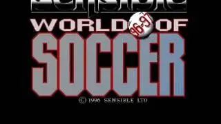 DOS Game: Sensible World of Soccer '96/'97