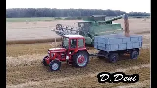 [2022] Búza Aratás *D.Deni*