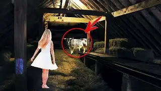 The daughter-in-law ran to the stable to the bull. Following her - he was speechless!