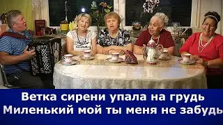 ВЕТКА СИРЕНИ текст добавлен в ролике и в описании