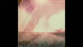Slow Disco - Harvesting