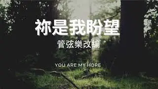 【祢是我盼望 / You Are My Hope】- 約書亞樂團 | 管弦樂改編