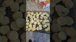 Budweiser Beer Battered Pickles!