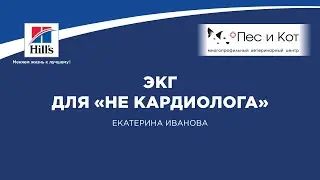 Вебинар на тему: 