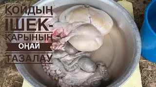 Қойдың ішек-қарының аршудың ЕҢ ОҢАЙ ЖОЛЫ!